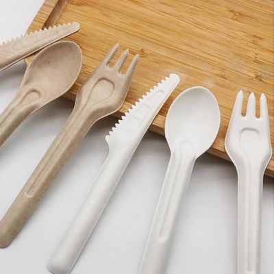 生物分解性のバガスのEcoの友好的で使い捨て可能な食事用器具類141.7mmのCompostableフォークおよびスプーン