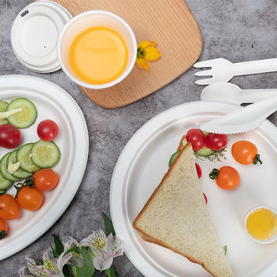 緑の100%生物分解性のCompostable党テーブルウェアEcoの友好的で使い捨て可能な版