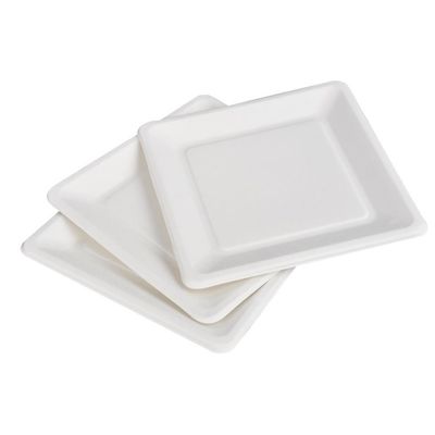 9in 10in Ecoの友好的なCompostableサトウキビのデザートの正方形のケーキの版を紙皿
