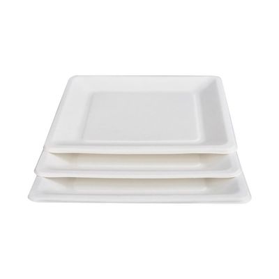 9in 10in Ecoの友好的なCompostableサトウキビのデザートの正方形のケーキの版を紙皿