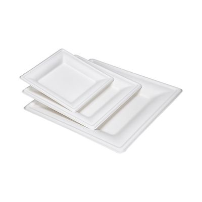 9in 10in Ecoの友好的なCompostableサトウキビのデザートの正方形のケーキの版を紙皿