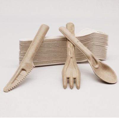 生物分解性のバガスのEcoの友好的で使い捨て可能な食事用器具類141.7mmのCompostableフォークおよびスプーン