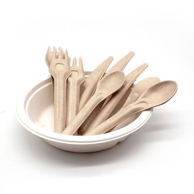生物分解性のバガスのEcoの友好的で使い捨て可能な食事用器具類141.7mmのCompostableフォークおよびスプーン