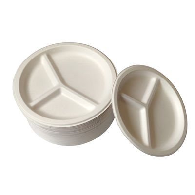 緑の100%生物分解性のCompostable党テーブルウェアEcoの友好的で使い捨て可能な版