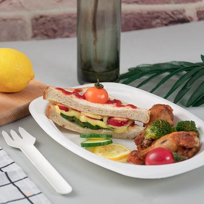 緑の100%生物分解性のCompostable党テーブルウェアEcoの友好的で使い捨て可能な版